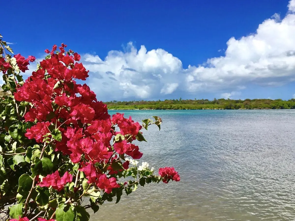 My Place Is Right On The Ocean And Close To A Golf Course And Restaurants Lowlands Trinidad And Tobago