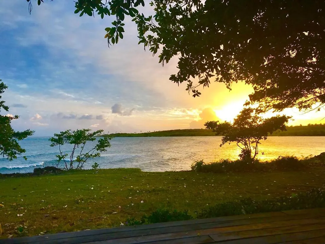 My Place Is Right On The Ocean And Close To A Golf Course And Restaurants Lowlands 0*,